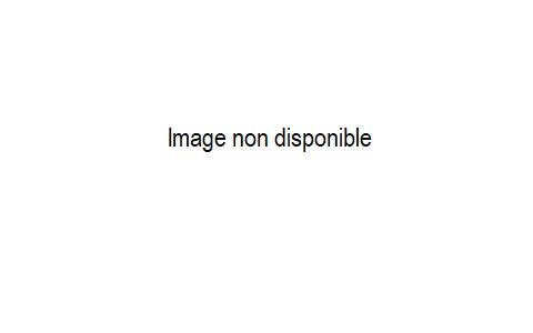Réf HC95 Ombia - huile de douche 300ml 